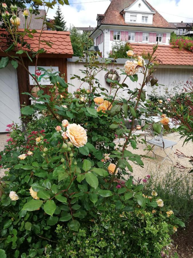 B&B Rosenliebe Niedereschach Zewnętrze zdjęcie