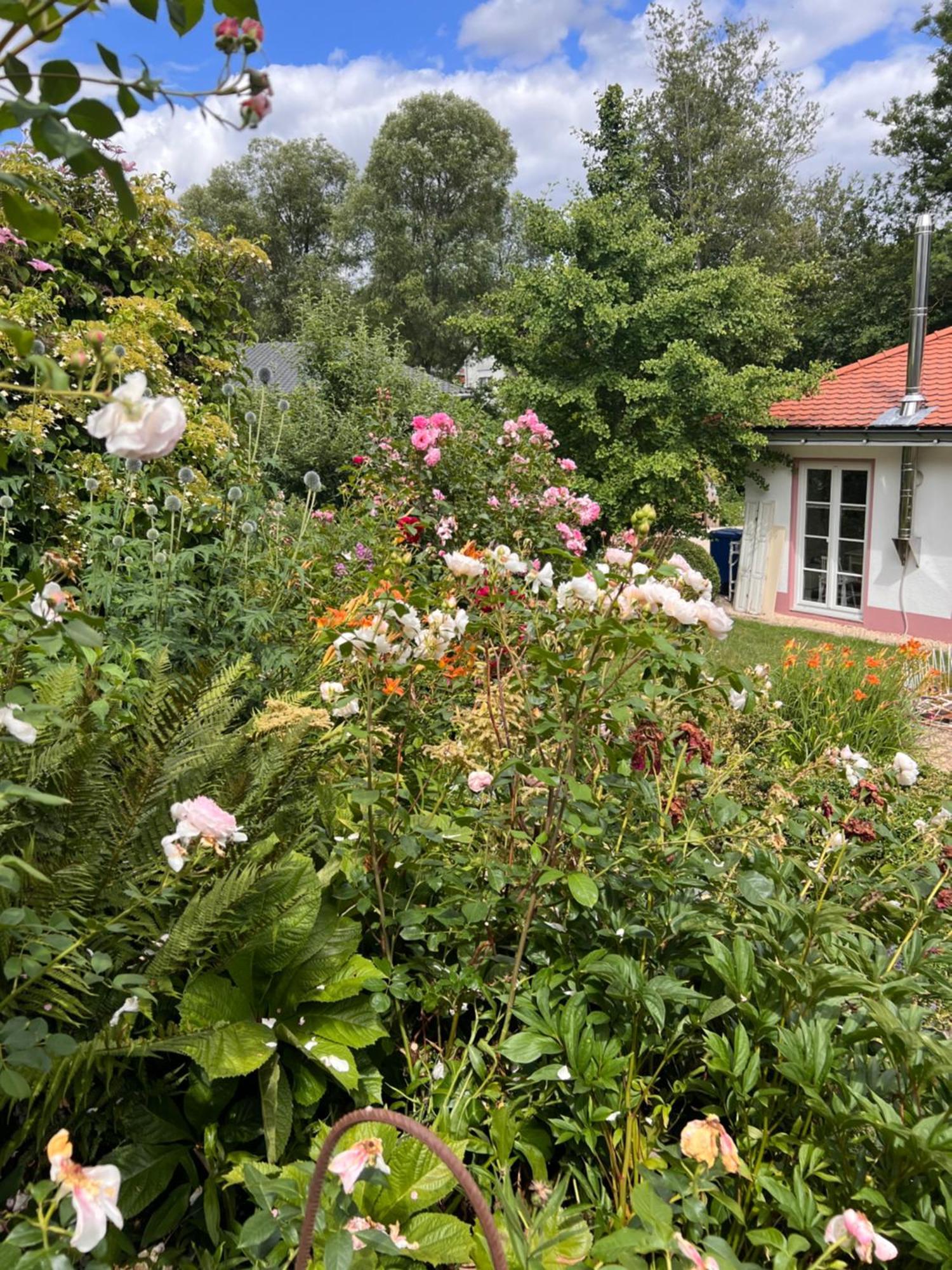 B&B Rosenliebe Niedereschach Zewnętrze zdjęcie